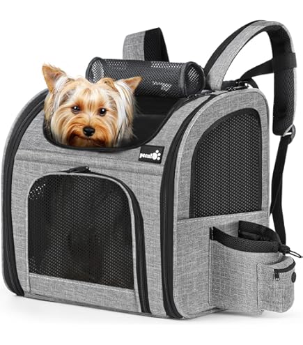 Trasportino Per Gatti Zaino Per Cani Estensibile, Zaino Per Gatti