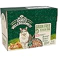 James Wellbeloved Grain Free Adult Cat Food with Salmon in Jelly Pouch 12 x 85g