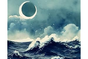 TISHIRON Abstract DIY Paint by Numbers for Adults Moon Adult Paint by Number Kits on Canvas Sea Wave Painting by Numbers with Brushes Acrylic Painting Art Crafts for Home 16"x20"(Frameless)