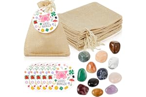Otuuz 12 Stück Glückssteine für Kinder mit Jutesäckchen Bunte Glücksbringer Steine Magische Steine Party Mitgebsel für Tier Geburtstag Silvester Kinder Kleinigkeiten Geschenke (Glücksschwein)