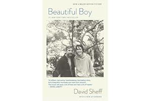 Beautiful Boy: (Tie-In): A Father's Journey Through His Son's Addiction