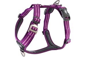DOG Copenhagen Comfort Walk Air Harnais (v2), Purple Passion (Violet), Taille L