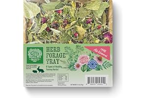 Herbal Forage Tray by Small Pet Select – Natural Treat with Grass, Parsley, Echinacea & Birch for Rabbits, Guinea Pigs & Other Small Pets