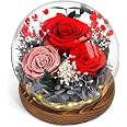 Emibele Rose Éternelle Violette En Dôme Verre Avec LED - Cadeau Fête Des Mères