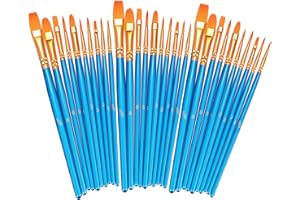 TOCED Paint Brushes, Professional Painting Brushes Set Made of Nylon Hair, Artist Paint Brushes for Acrylic Oil Watercolor Gouache Face Painting(Pearl Blue) (30)