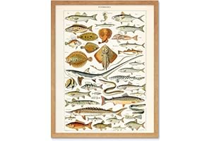 ARTERY8 Millot Encyclopedia Page Fish Shark Ray Art Print Framed Poster Wall Decor 12x16 inch POISSON Affiche mur Déco
