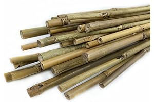 CULTIVERS Tutores para Plantas de Caña Bambú 120 cm (Ø8/10 mm). Pack 30 Unidades. Tutor para Tomates, huerto, árboles y Todo Tipo de Plantas. Varillas para Plantas. Bambú Natural