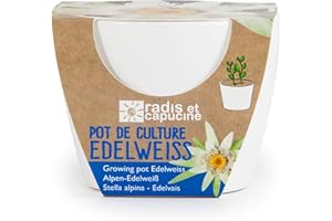 Radis et Capucine - Pot Céramique Blanc 8 cm avec graines d'Edelweiss à Faire fleurir