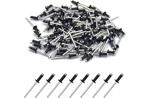 BESTYCHAO 100 Stück 4 x 10mm Aluminium-Blindnieten, Pop-Nieten mit offenem Ende, Packung mit 100 (Schwarz)