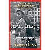 Small Island: Winner of the 'best of the best' Orange Prize: Andrea Levy