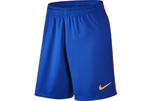 Nike FCB M Ha3G Stadium - Short Linie F.C Barcelona Herren, Farbe Blau, Größe S