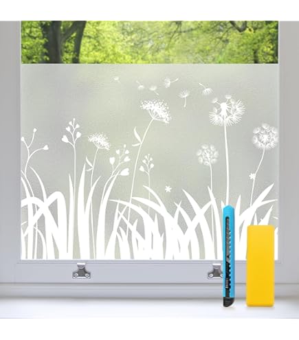 GRAZDesign Sichtschutzfolie Pusteblume Mit Kolibri - Dekorative Fensterfolie 70x57cm