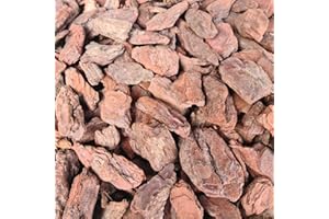 ROHSTOFFPOST Pinienrinde 60L 25-45 mm Pinienmulch Rindenmulch