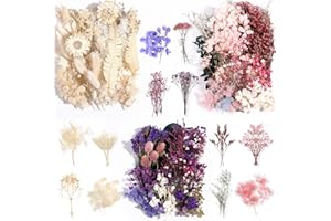 Comkrivy Real Dried Flowers, Dried Flowers, 3 Colors Dried Pressed Leaf Flowers for DIY Arts and Crafts Candles Resin Jewellery Nail Pendant Cards Scrapbooking Wedding Home Decoration