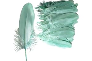 Syiyunran Piume Naturali Artigianali - 50 Pezzi per Decorazioni DIY Nozze Fai, Maschere Piume, Decorazione Acchiappasogni può Essere Utilizzato Come Oggetti Scena Feste Spettacoli(Verde Menta)