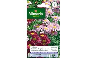 Vilmorin Pyrethre géant en mélange - Semences pour plantation - fleurs hautes vivaces 50 cm - Fleurit chaque année -Eloigne naturellement les insectes - Facile à réussir sans entretien