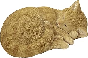 Vivid Arts - Sleeping Cat Ginger - XRL-ZC31-D