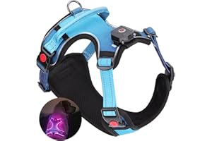 DAISTERN von BSWAY LED Hundegeschirr