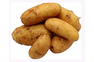 ‎BLEICHHOF BLEICHHOF® 5kg Annabelle Kartoffeln aus der Pfalz - Sorte: Annabelle festkochend Salatkartoffel, Ernte 2025