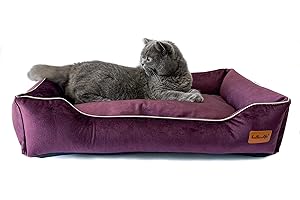 Halkalife Divano per Cani Impermeabile e Resistente all'abrasione. Divano Lussuoso e Glamour per Un Cane o Un Gatto. Letto Morbido per Cani. (S (60x40x15 cm), Prugna)