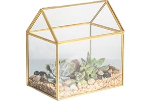 NCYP 15.5x11x16cm Gold House Shape Close Geometric Glass Terrarium Box, Handmade Succulent Planter, Modern Garden Flower Pot, Small Centerpiece Container for Wedding Coffee Table (No Plants Included)