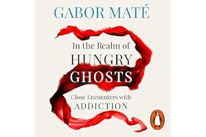 In the Realm of Hungry Ghosts: The award-winning guide to the causes of addiction – and how to heal it