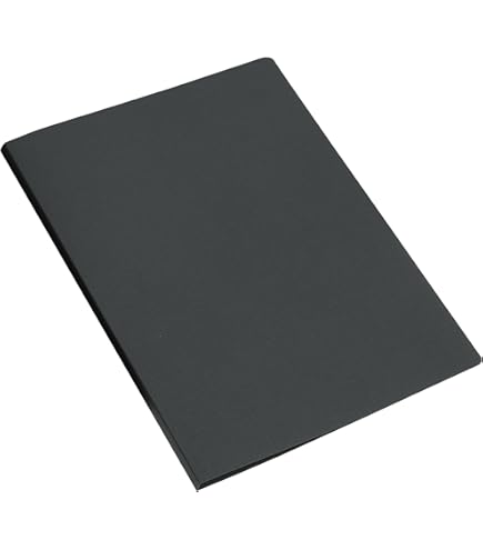 E Type) King Jim File Clear Color Base A4 20 Pieces Of Black 130C