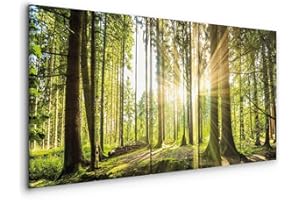 murando - Quadro Bosco 150x60 cm 5 Pezzi Stampa su tela in TNT XXL Immagini Moderni Murale Fotografia Grafica Decorazione da Parete Quadri Componibili Bosco Foresta Natura Panorama Albero c-C-0177-b-n