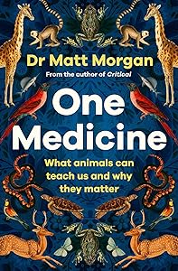 kindle best category lists