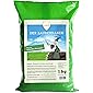 Original Linsor *Zauberrasen* Premium Rasensamen 1kg | Rasensamen schnellkeimend Grassamen schnellkeimend schnell…