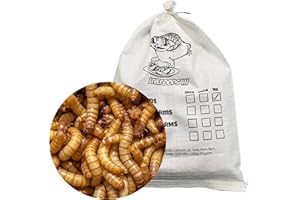 Livefoods4u Live Mealworm 1kg Bulk (20-30mm) - Live Food for Reptiles & Garden Birds | Live Mealworms for Birds