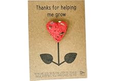 Thanks for helping me grow - Wildflower seed bomb heart shaped - Teacher Gift - DD2375 (Random Colour)