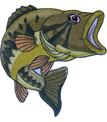 Quel Poisson Pêcher en Bord de Mer ? | SMDP