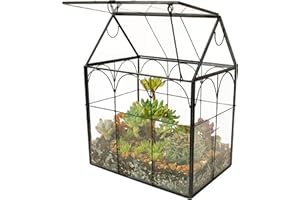ElegantLife Geometrisches Terrarium aus Glas für Sukkulenten und Luftpflanzen (Keine Pflanze im Lieferumfang enthalten)