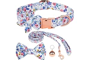 AUAUY Zestawy obroży i smyczy dla psów, kwiat dziewczyna kwiatowy wzór grawerowane obroże dla zwierząt domowych z regulowanymi mocnymi złotymi obrożami z piękną muszką i małym dzwonkiem dla małych,