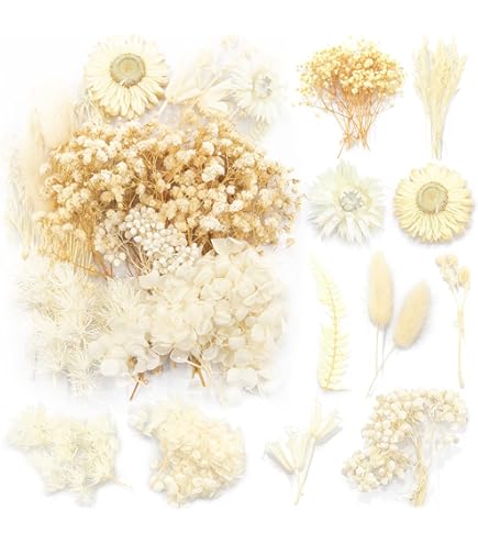 FunCakes Eetbare Gedroogde Bloemen Struikhei 10g