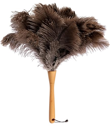 Plumero De Plumas, Plumas De Avestruz Natural Para El Polvo | Meses sin interés