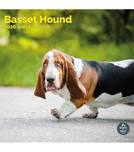 Aurora 31567 Flopsies Basset Hound 12in Soft Toy Multi-coloured Online Kaufen - View #2