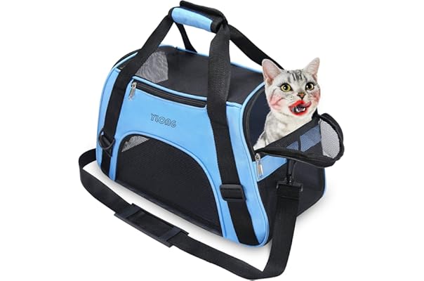 cat carry bag amazon