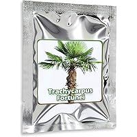 Hanfpalme Trachycarpus fortunei - Hanf Palmen Samen 10 Stück/Pack - Palmensamen - Winterhart bis -17 °C die…