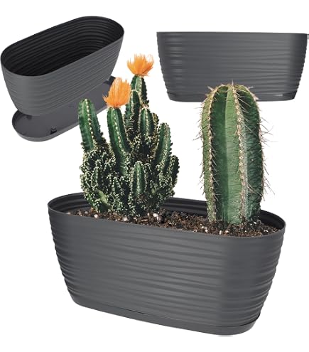 Vaso Ovale Terra DCK In Plastica Effetto Terracotta | 31x13x11 Cm, 2.5 Litri, Per Piante Da Interno Ed Esterno