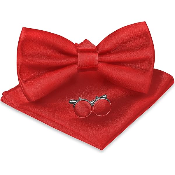 Nœud Papillon Homme Auto-Noué - 12x6 Cm, En Polyester Mat, Réglable - Pour Mariage, Cérémonie, Costume