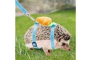 DNOIFNE Igelgeschirr und Leine, verstellbares Igel-Trainings-Anti-Bissgeschirr, Igel-Nylonseil mit süßem Rettich, Outdoor-Spielspielzeug für Igel, Meerschweinchen