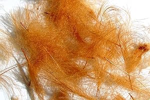 HARELINE DUBBIN Pechetruite 1g - CDC (Cul de Canard) Federn - Zimt/Cinnamon - Für Fliegenbinden