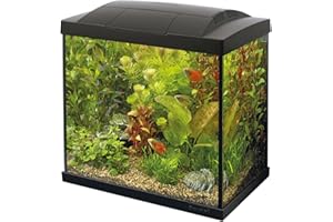 SuperFish SF Tropical Set 30 Aquarium schwarz inkl. Filter, Heizer, Wasseraufbereiter, Kescher, Thermometer und Futter