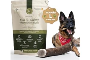 Tony & Lolas Asta de Ciervo para Perro - Mordedor Perro - Huesos para Perros Grandes - - Juguete Resistente Natural y Premium - Talla L - Razas Grandes (15-25kg) - 1Unidad