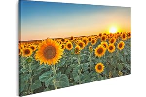 islandburner Picture on Canvas Sunflowers Fields Sunset Pictures Wall Pictures Poster