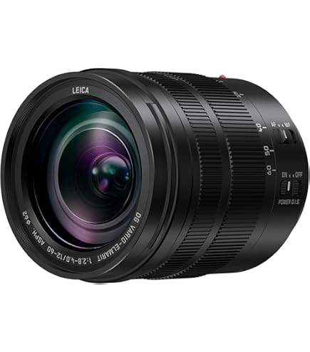 Panasonic H-FSA100300E Lumix G Vario 100-300 mm/ F4.0-5.6 II