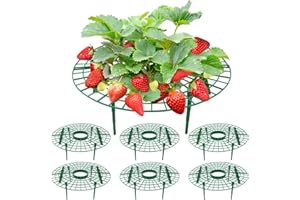 BSTDAYEVER Soporte para Fresas Soportes para Plantas de Fresa Set de 6 Rejillas para Soporte de Fresa Reutilizable Marco Plantación Fresa 30 × 10cm para Plantación de Balcones e Invernaderos