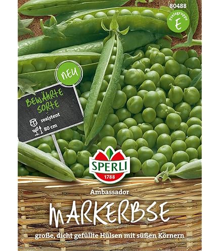Drr-Samen - Markerbsen Jumbo Saatgut : Amazon.de: Garten